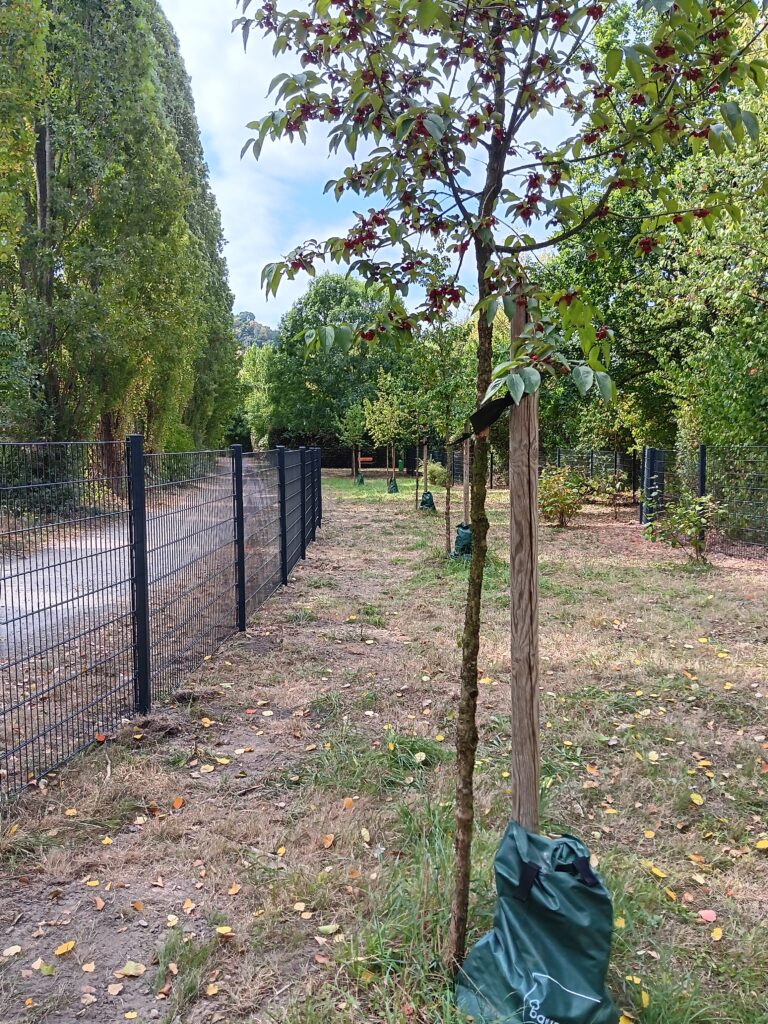 Hundewiese kann jetzt genutzt werden