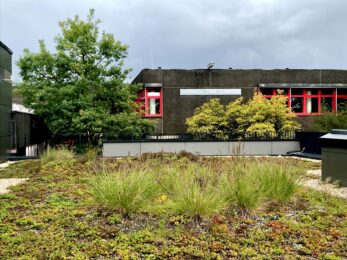 Die Frau, die gegen Türen rannte